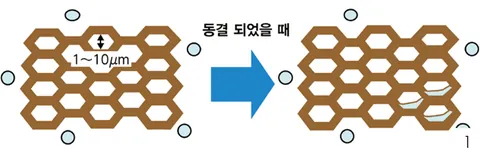 특장점